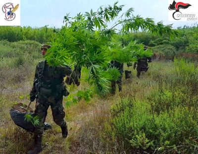 Tortolì, i Carabinieri con la marijuana sequestrata