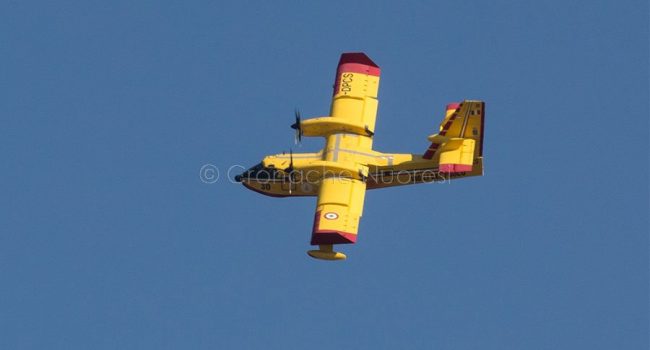 Un canadair in azione (foto S.Novellu)