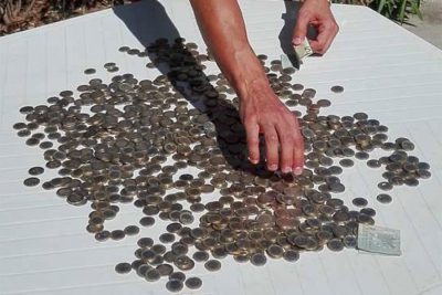 soldiI soldi delle slot machines rubati a Sinsicola