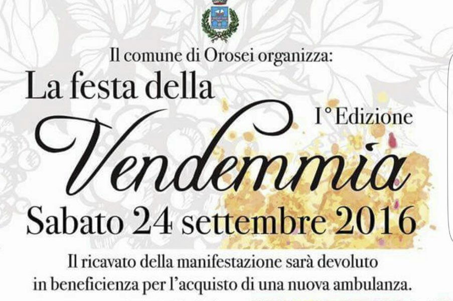 Orosei: il Comune organizza una raccolta fondi per l’acquisto di un’ambulanza
