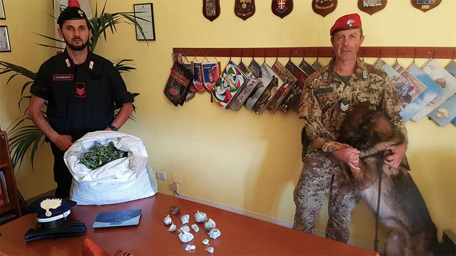 Ventenne in manette per detenzione ai fini di spaccio di marijuana