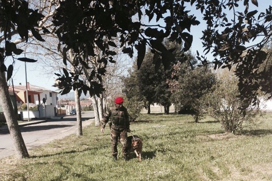 Lotta agli stupefacenti nelle scuole: controlli dell’Arma con cane antidroga