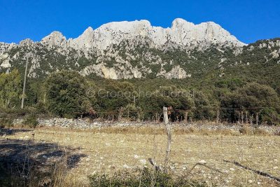 Uno scorcio del Monte Maccione (Foto Cronache Nuoresi)