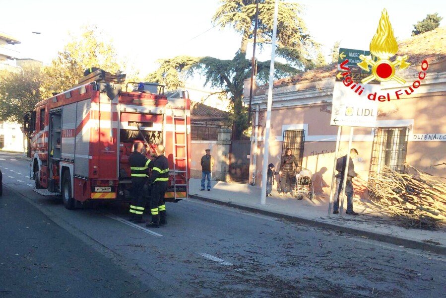 Nuoro. Si spezza un albero e si abbatte su un’auto di passaggio