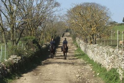 Un'immagine della Polizia penitenziaria a cavallo