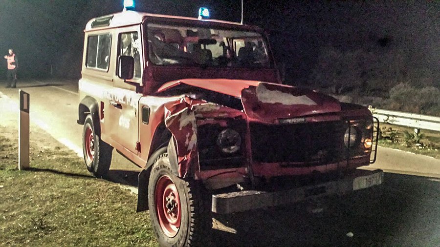 Fuoristrada dei Vigili del fuoco travolge un bovino che attraversa la strada: ferito il conducente