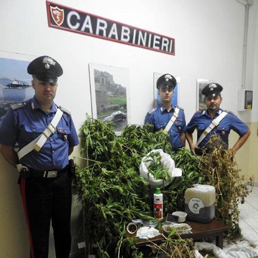 57enne in manette: coltivava e “lavorava” in casa la marijuana