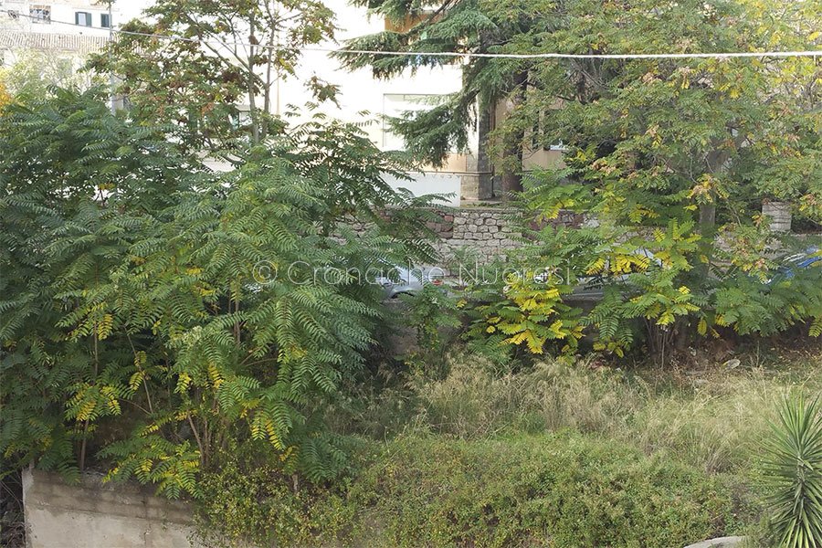 Degrado urbano: interventi di manutenzione e pulizia in settimana