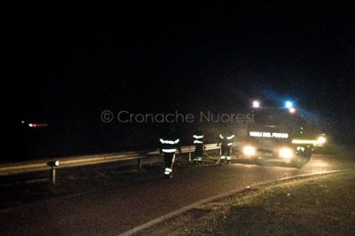 I mezzi VVF al lavoro a Sarule (foto Angius)