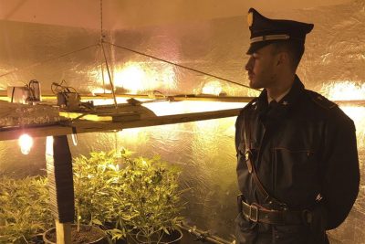 La piantagione marijuana rinvenuta dai Carabinieri