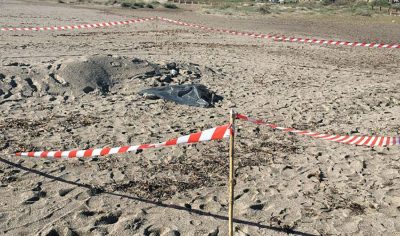 Il cadavere nella busta sulla spiaggia del Poetto