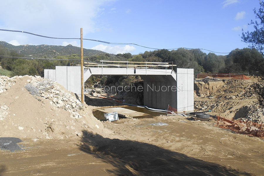 Canne e arbusti non rimossi nella piana di Oloè, una bomba pronta a esplodere