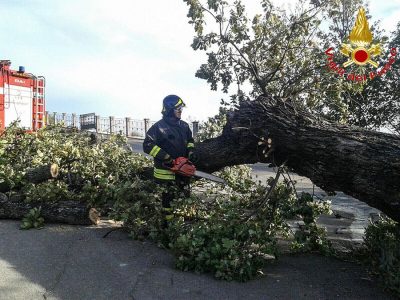 Lanusei. Un Viglile del fuoco al lavoro per la rimozione dell'albero
