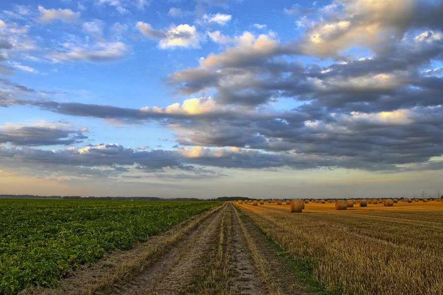 Coldiretti: stop all’IMU agricola per i pensionati