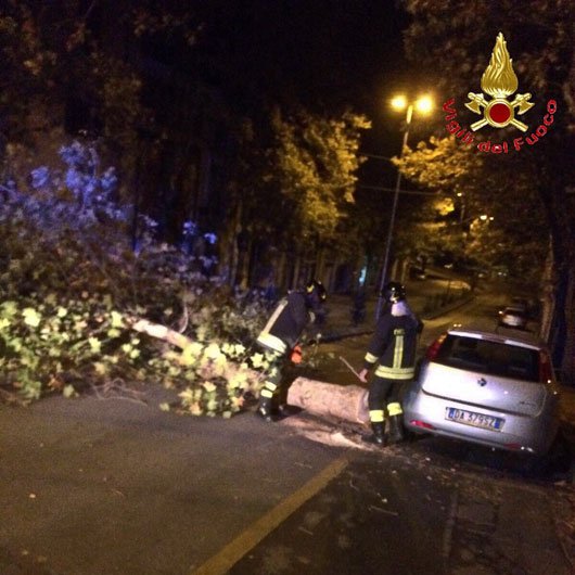 Violente raffiche di vento a Nuoro: alberi abbattuti danneggiano le auto
