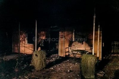 I resti dell'abitazione dopo il rogo (foto VVF)