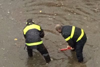 I Vigili del Fuoco impegnati in un intervento (foto Cronache Nuoresi)