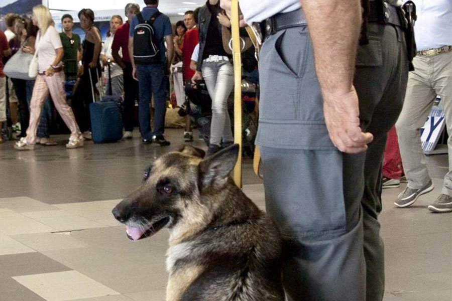 Denunciato dalla Guardia di Finanza baby spacciatore sorpreso con otto dosi di marijuana