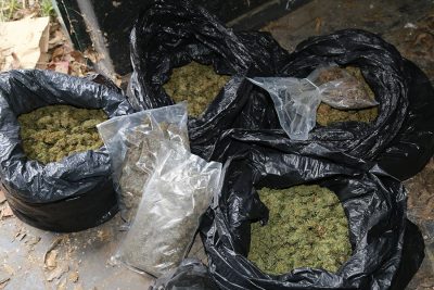 Una parte della droga sequestrata a Lotzorai