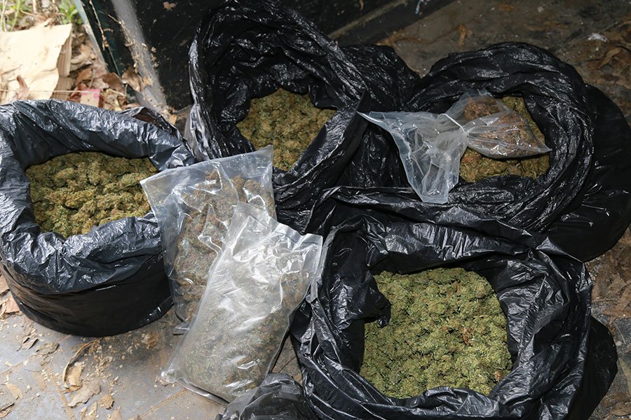 Guardia di finanza di Nuoro: sequestrati 5 kg di marijuana in una ex discoteca