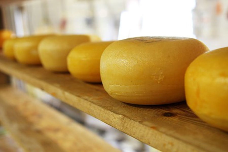 Nuoro. Assegni scoperti per acquistare formaggi: un giro d’affari di 10milioni di euro
