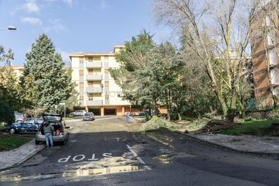 Privati sistemano la legna dei rami abbattuti in v.le Costituzione dal nubifragio di ieri (foto S.Novellu)