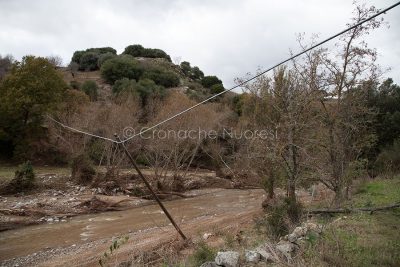 La devastazione di Cleopatra nel 2013 (foto S. Novellu)