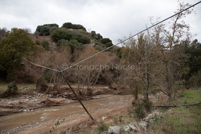 La devastazione di Cleopatra nel 2013 (foto S. Novellu)