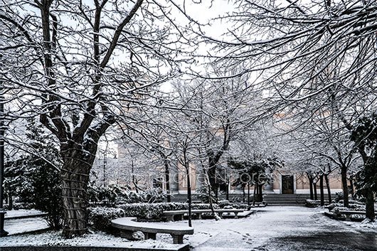 Su piscamu e s’artare