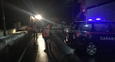 Carabinieri durante l'interruzione della rete elettrica a Gavoi