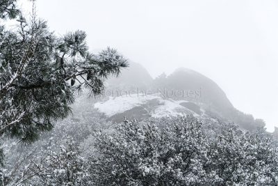 Paesaggio dell'Ortobene innevato (foto S.Novellu)