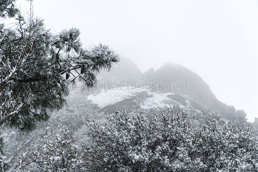Non si placa il maltempo: neve e ghiaccio previsti anche per domani