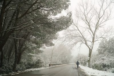 Nuoro. Passeggiata sotto la neve sull'Ortobene (foto S.Novellu)