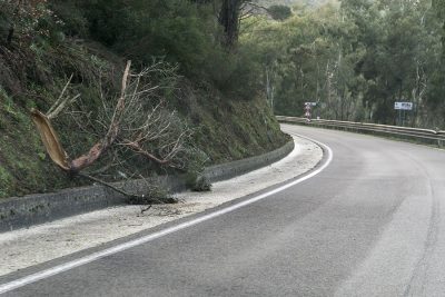 Ramo strapato sulla bretella per Prato-sardo (foto S.Novellu)