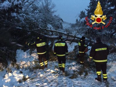 Intervento del VVF per il ripristino della viabilità nel Nuorese