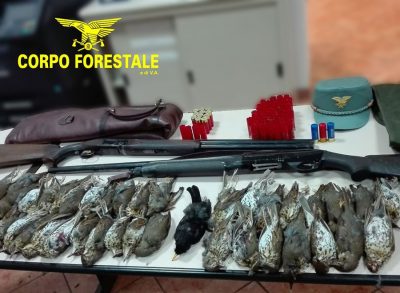 Fucile, cartucce e selvaggina sequestrati a Orosei