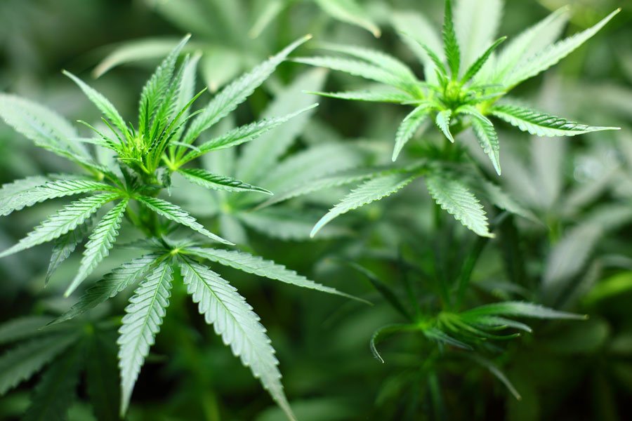 Sorpreso con 40 dosi di marijuana: in manette un pregiudicato 45enne