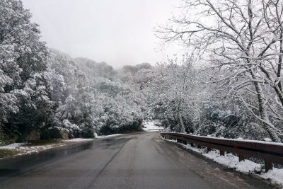 La strada dell'Ortobene (foto Cronache Nuoresi)