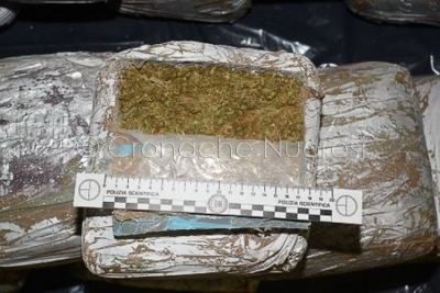 Una parte della droga sequestrata