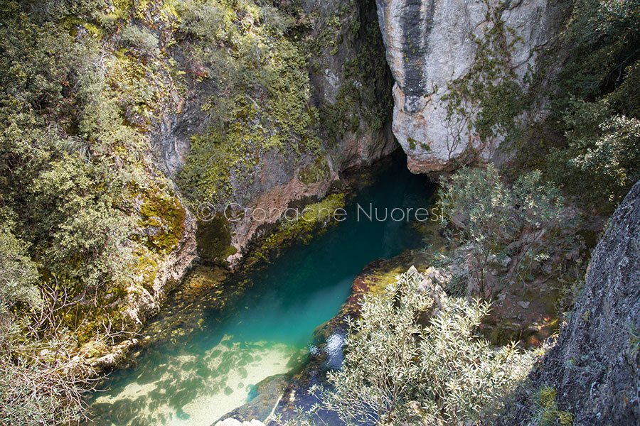 A Oliena esperti a confronto sul mieloma multiplo