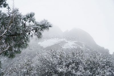 Uno scorcio dell'Ortobene innevato (foto S.Novellu)