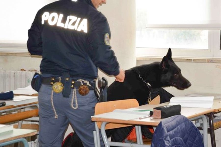Droga a scuola: le Unità cinofile scovano 46 involucri contenenti marijuana