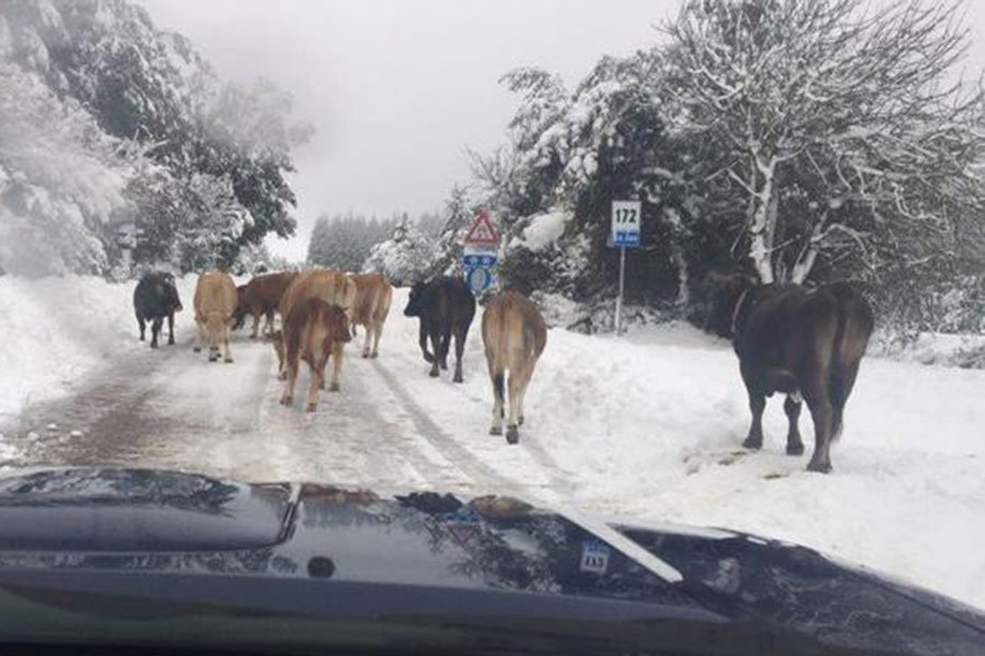 Il maltempo non dà tregua all’Isola: temperature in picchiata, neve e pioggia