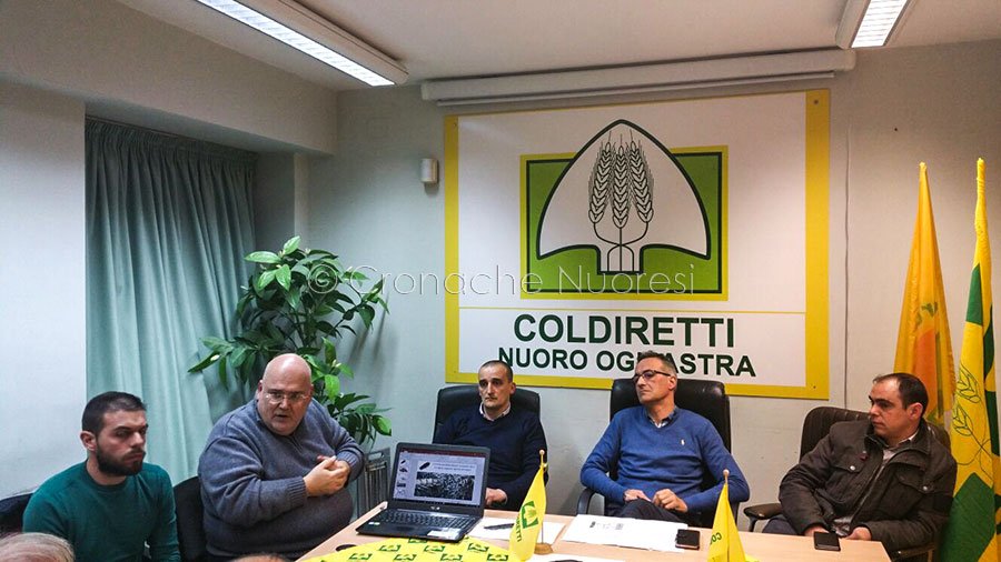 Rifiuti organici e insetti nei mangimi degli animali: un progetto per un minor impatto ambientale