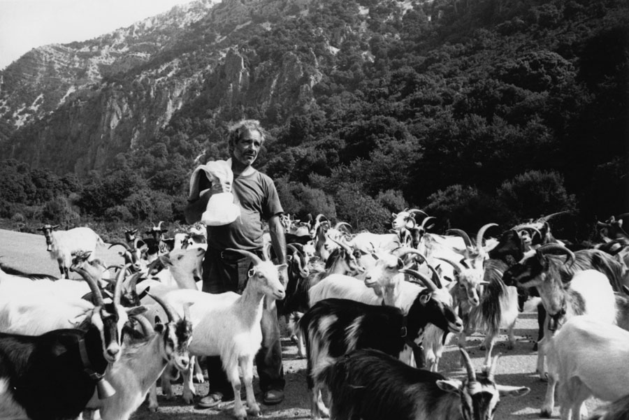 “Sguardi nell’antropologia visuale”: all’ISRE il cinema transculturale di David McDougall