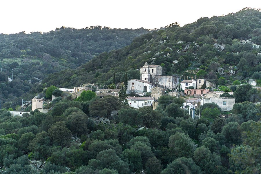 A Lollove “Serenadas” : l’esperienza di cantare l’amore