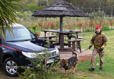 Un momento dell'operazione antidroga dei Carabinieri