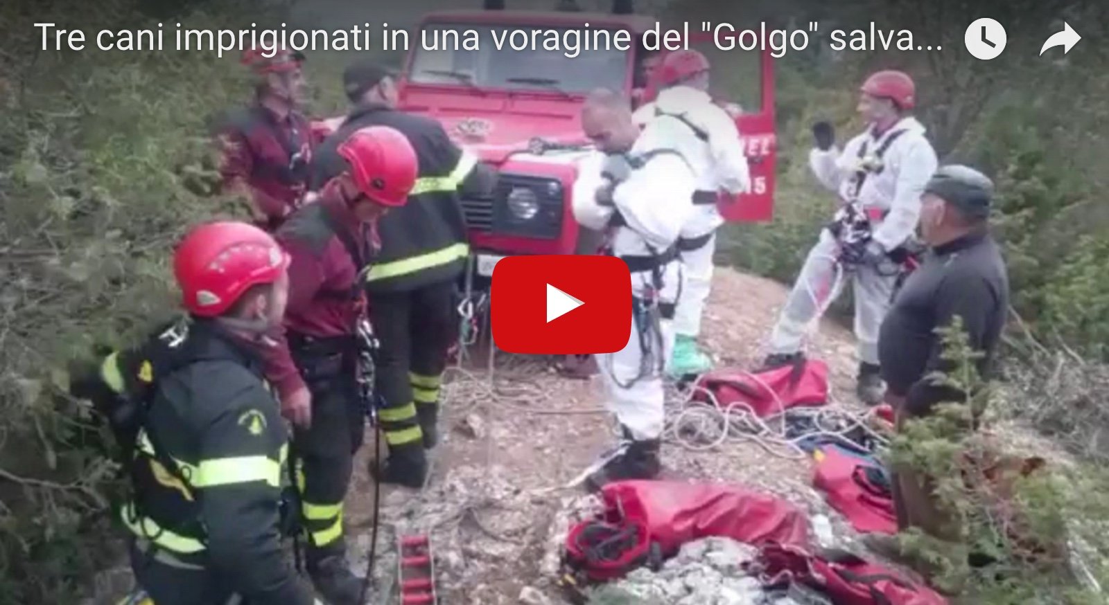 Tre cani imprigionati a 25m di profondità in una voragine del “Golgo” salvati dai VVFF