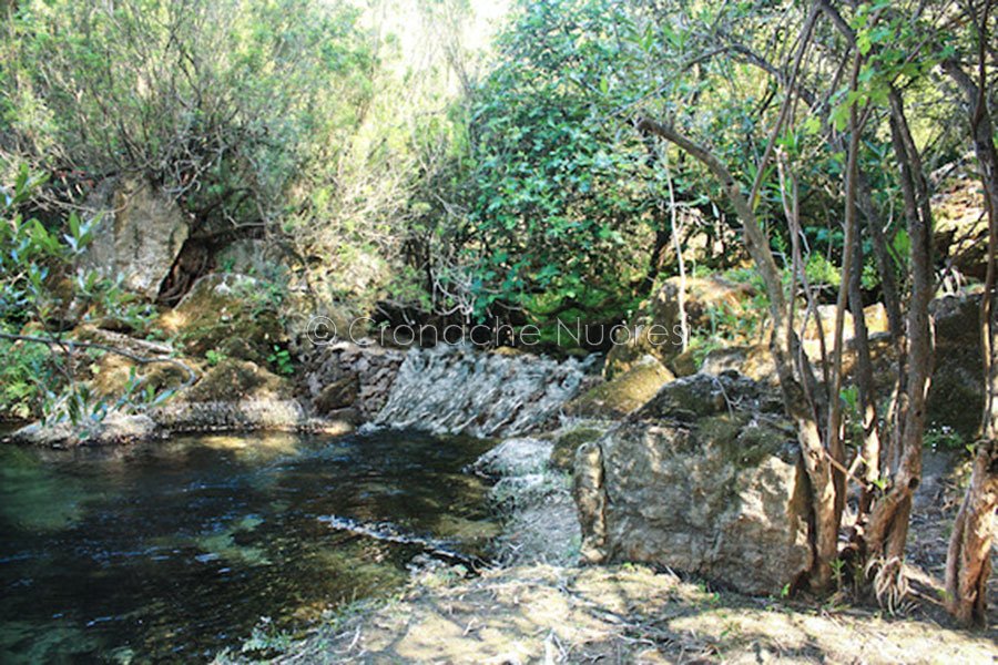 Abba Vona scrive agli Olianesi: “fare muro per Su Gologone non risolve il problema idrico della Baronia”