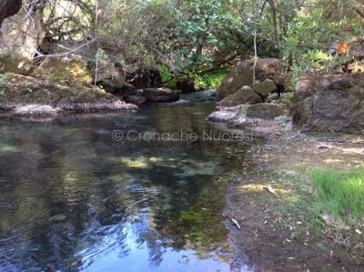 La sorgente di Su Gologone